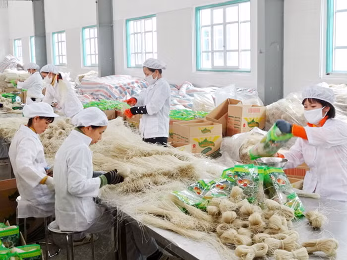Phải thực hiện sớm các chính sách giúp doanh nghiệp hồi phục -0