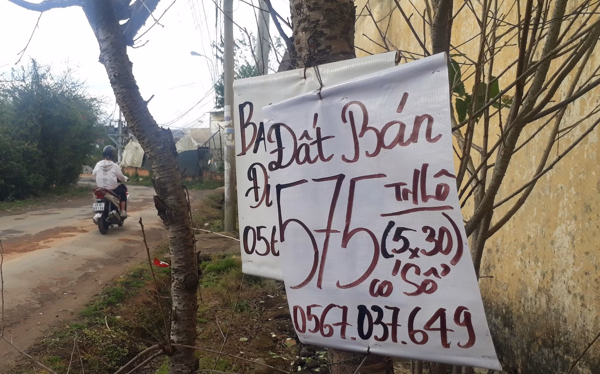 Đầu tư bất động sản ở Đà Lạt: Cẩn thận kẻo mua phải dự án “ma” -0