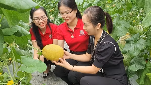 Vốn Agribank hỗ trợ phát triển nông sản sạch, nông sản OCOP