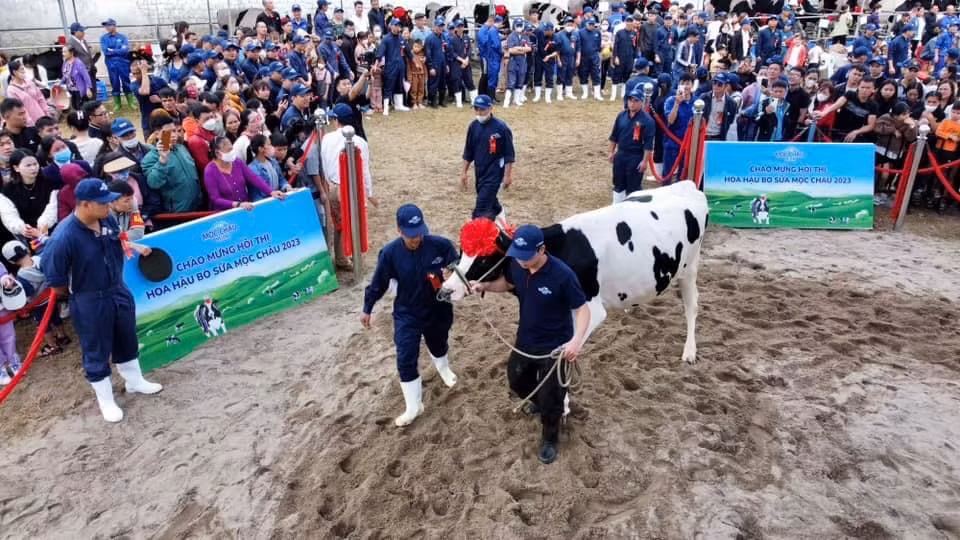 Có thêm một tân Hoa hậu… “Bò sữa” -0