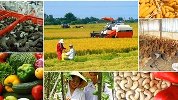 Đề xuất phân loại hợp tác xã theo 4 quy mô