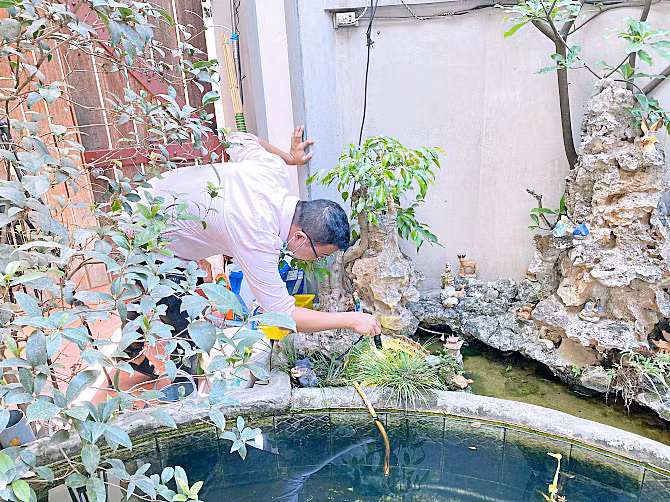 Hà Nội ghi nhận 136 ổ dịch sốt xuất huyết trong một tuần -0