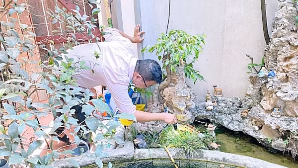 Hà Nội ghi nhận 136 ổ dịch sốt xuất huyết trong một tuần