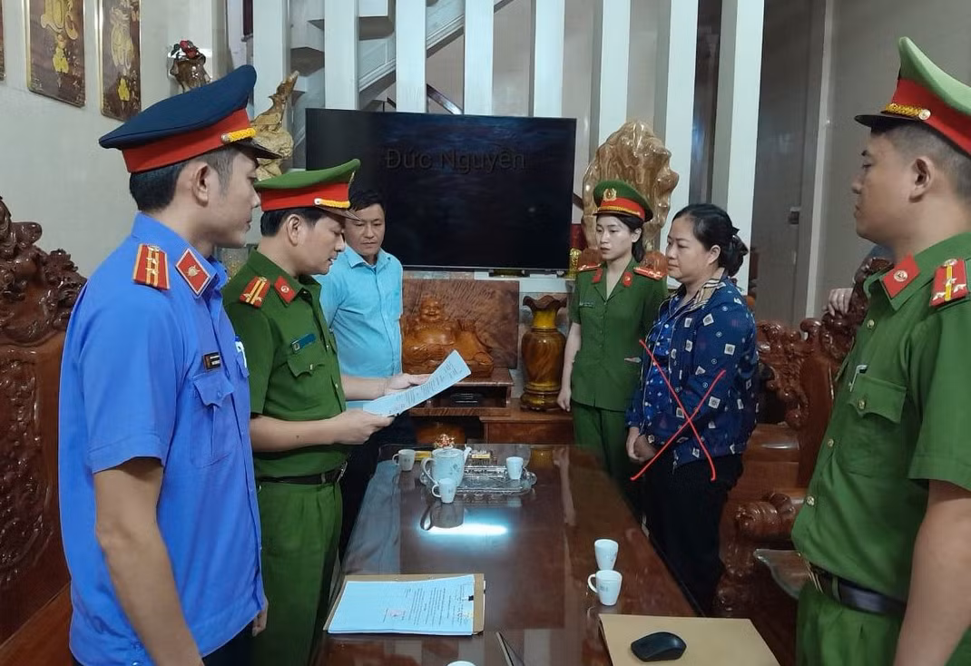 Giám đốc doanh nghiệp mua hoá đơn giá trị gia tăng để trốn thuế -0