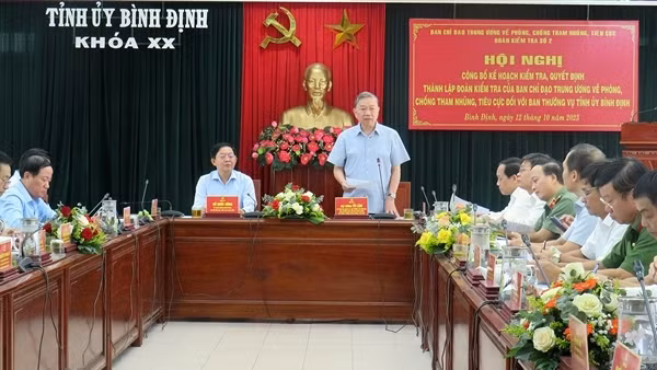 Công bố quyết định kiểm tra công tác phòng, chống tham nhũng, tiêu cực tại Bình Định