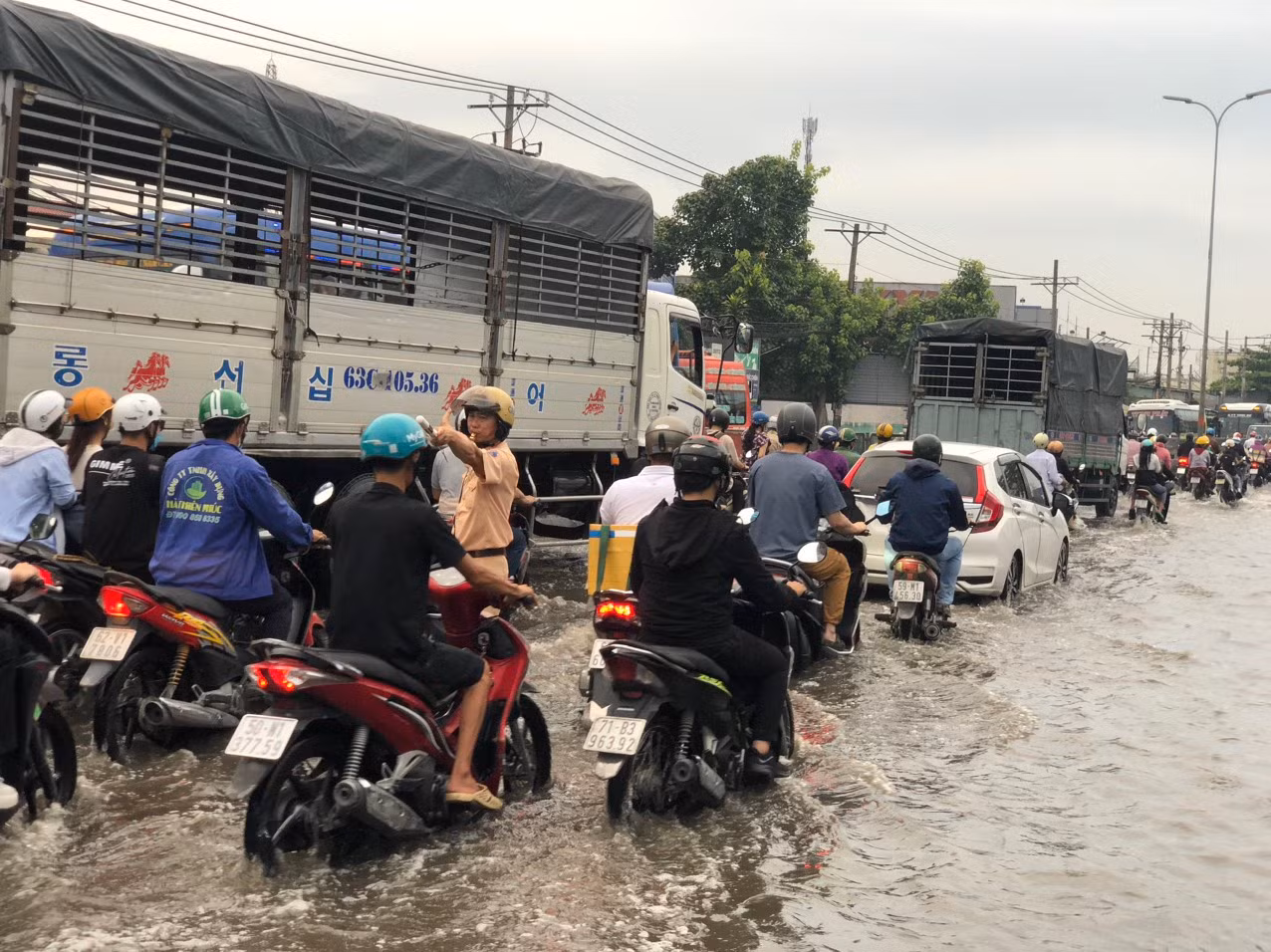 Triều cường dâng cao, CSGT lội nước điều tiết giao thông -0