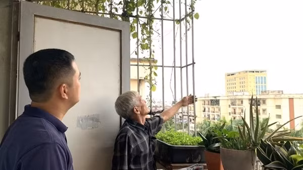 Gần 257 nghìn nhà dân ở Hải Phòng đã tháo dỡ “chuồng cọp”