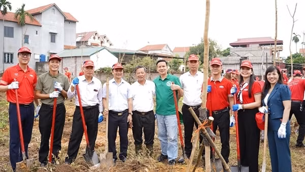 Dai-ichi Life Việt Nam tiếp tục triển khai Dự án “Trồng cây xanh đô thị” tại Hà Nội