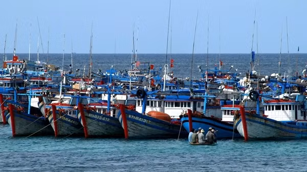 Hôm nay, đoàn thanh tra Ủy ban châu Âu sang Việt Nam bắt đầu kiểm tra gỡ 'thẻ vàng' IUU