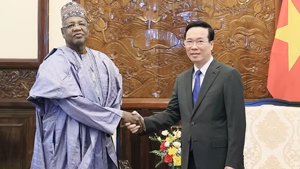 Chủ tịch nước Võ Văn Thưởng tiếp Đại sứ Nigeria tại Việt Nam