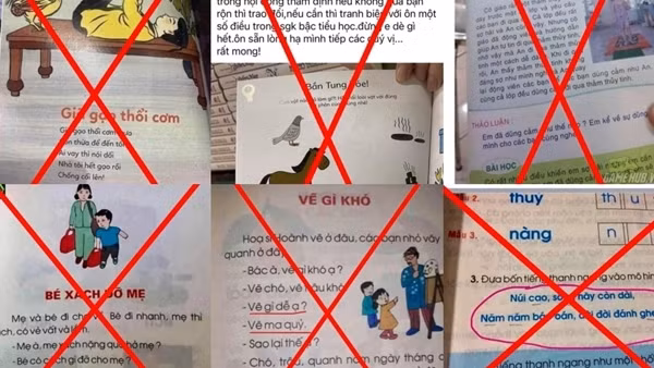 Bộ Giáo dục và Đào tạo đề nghị điều tra việc xuyên tạc ngữ liệu trong sách giáo khoa