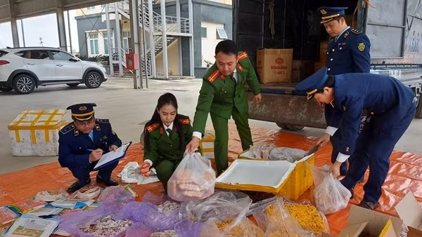 35 tấn đường và gần 500 kg thực phẩm không rõ nguồn gốc theo xe tải về Thủ đô