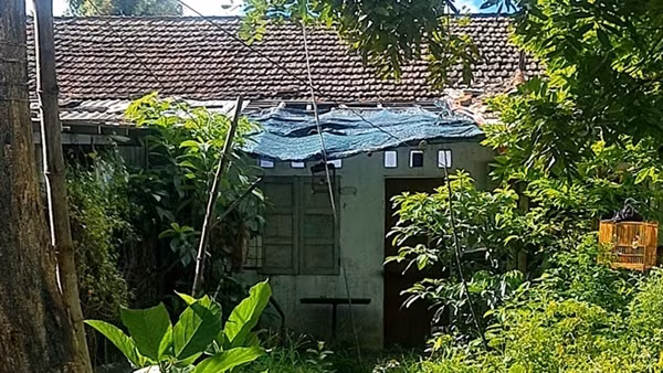 Trả lại "đất vàng" sau gần 20 năm lấn chiếm sử dụng