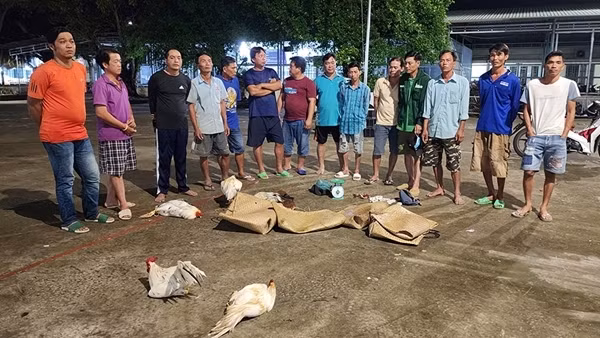 Phá tụ điểm đá gà ăn tiền, tạm giữ 14 đối tượng