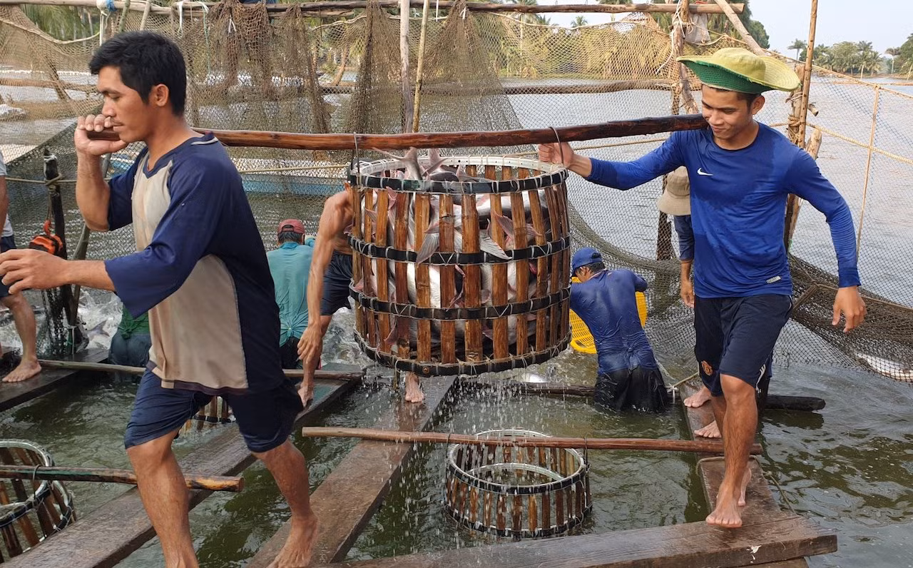 Đồng Tháp lần đầu tổ chức Lễ hội cá tra -0