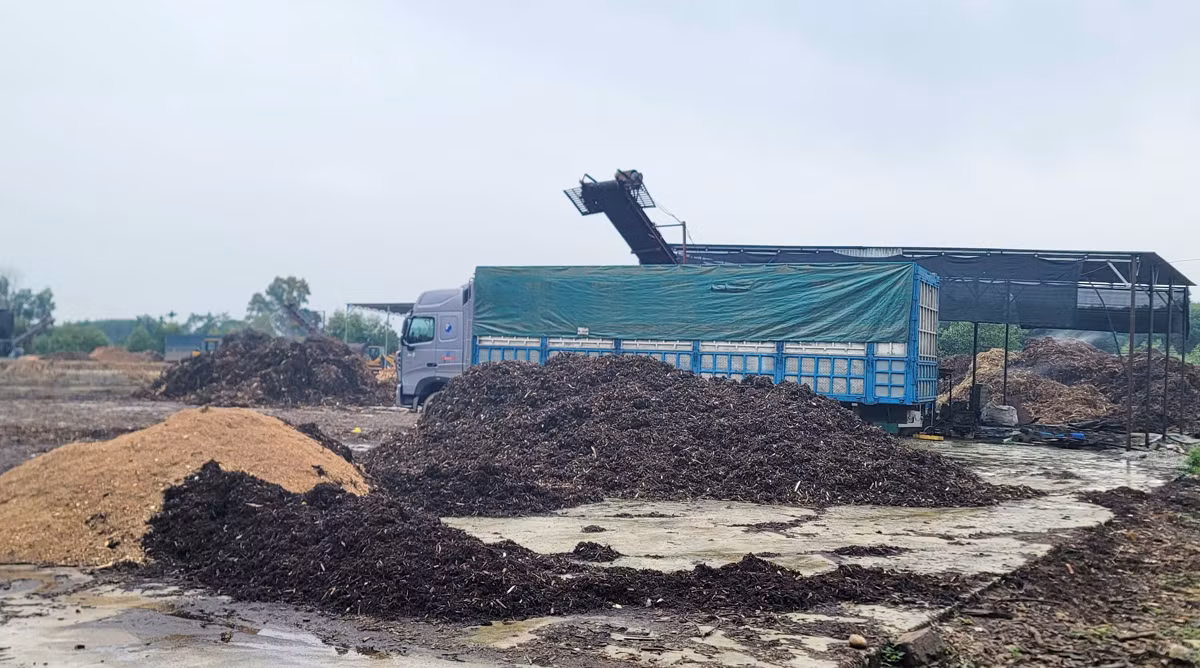 Phê bình địa phương vì để các cơ sở băm dăm hoạt động không phép -0