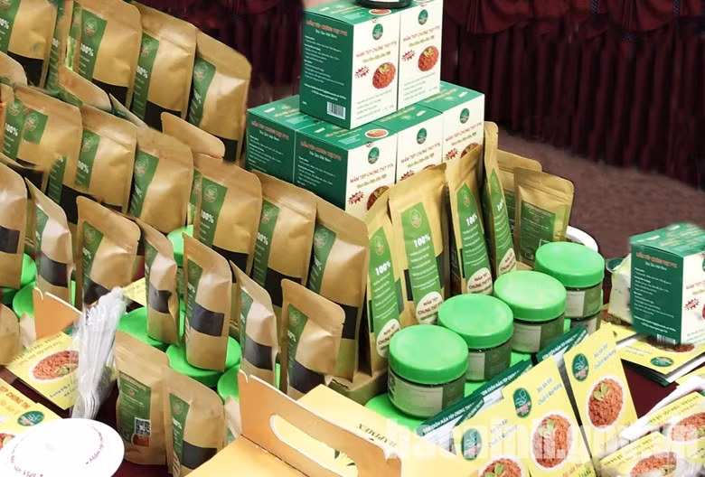Thúc đẩy kinh tế tư nhân -0