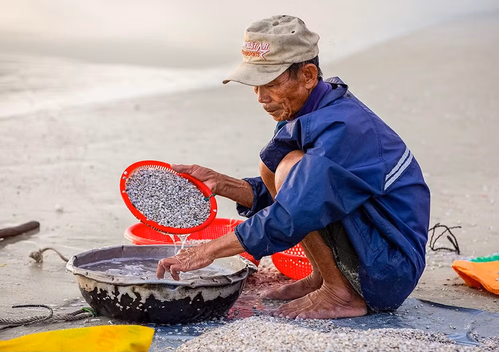 Mùa lộc trời xứ biển -0