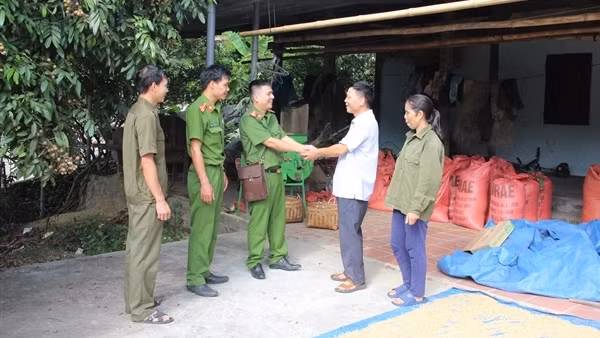 Giảm tầng nấc trong tổ chức bộ máy, giảm trung gian trong điều hành