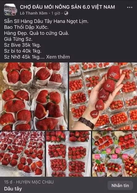 Tìm người bị hại trong vụ “chủ vựa hoa quả” lừa tiền cọc khách hàng -0