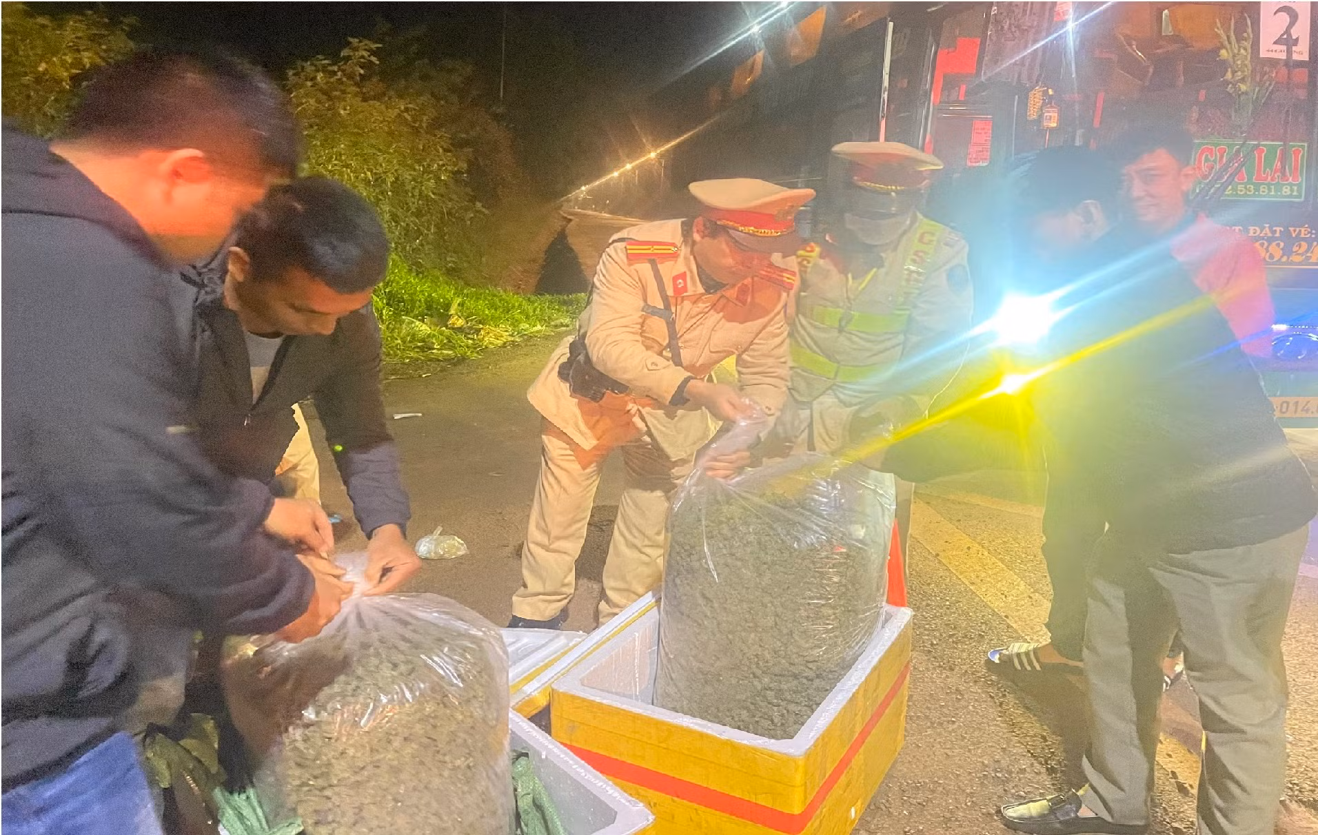 Nhóm đối tượng chuyên trồng, tàng trữ, mua bán cần sa liên tỉnh -0