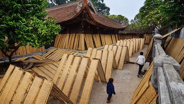 Về thương tấm liếp quê nghèo