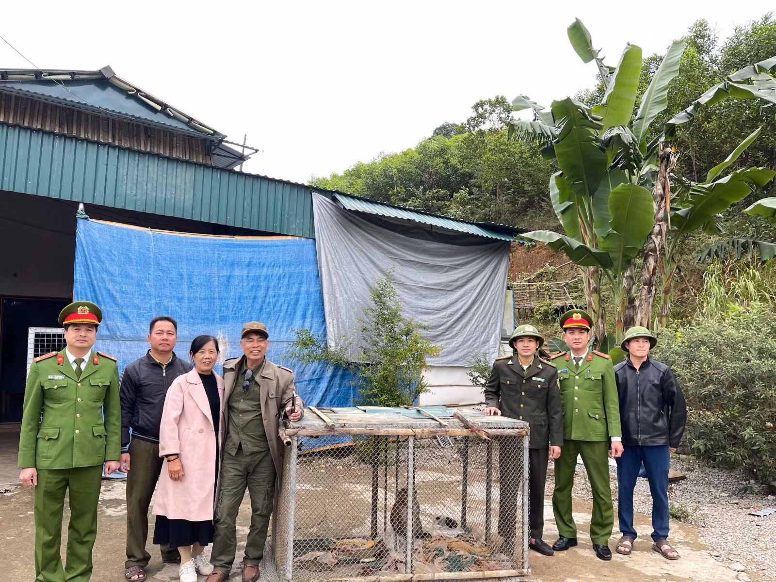 Công an xã ở Thanh Hóa vận động người dân tự nộp nhiều cá thể động vật hoang dã quý hiếm -0