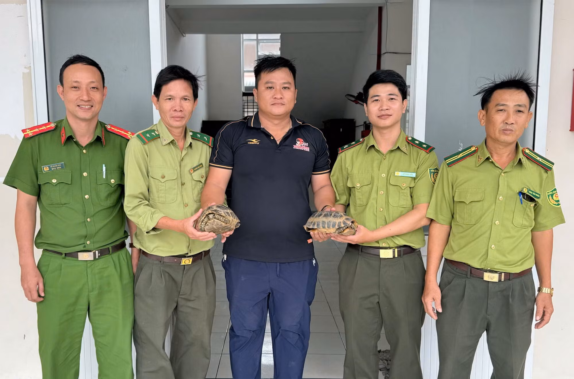 Người dân phát hiện và giao nộp 2 cá thể rùa núi vàng quý hiếm -0