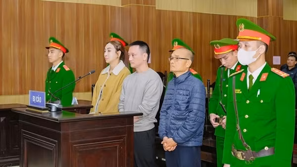 Vi “ngộ” hầu tòa vì tội trốn thuế