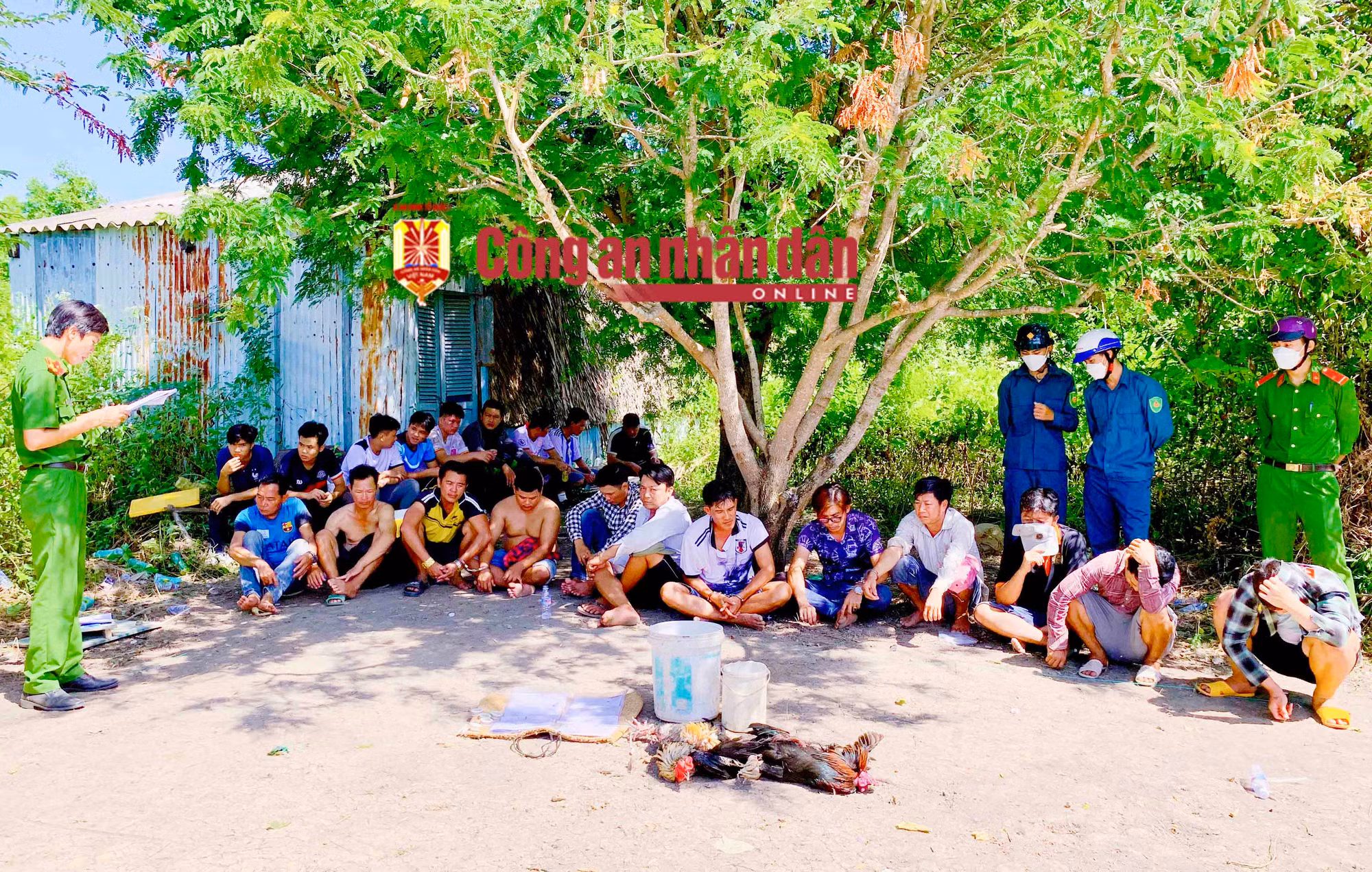 Triệt xóa trường gà giữa đầm tôm -0