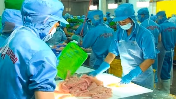 TP Cần Thơ ghi nhận số F0 kỷ lục kể từ khi dịch bùng phát ảnh 4