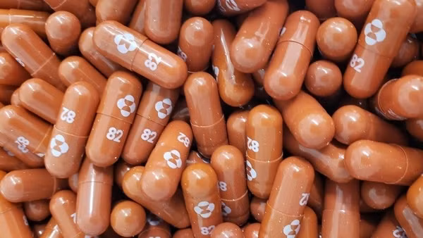 Người nhiễm COVID-19 uống thuốc Pfizer có thể giảm 90% nguy cơ tử vong ảnh 3