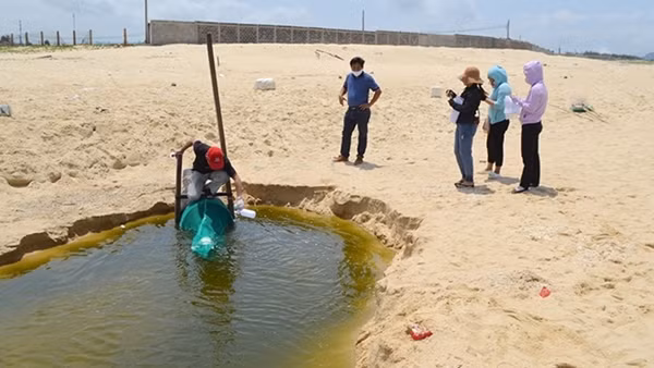 Xử phạt 2 cơ sở nuôi tôm gây ô nhiễm môi trường đã được Báo CAND phản ánh ảnh 4