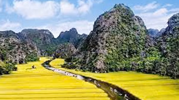 Nghề rèn xà gạc của người Mạ ở Lâm Đồng ảnh 3