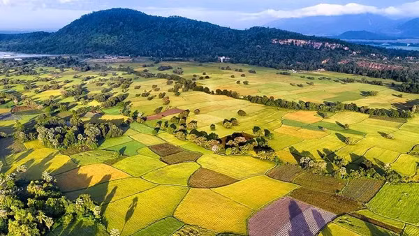 “Vùng xanh” khu du lịch Rừng tràm Trà Sư sẵn sàng cho ngày trở lại