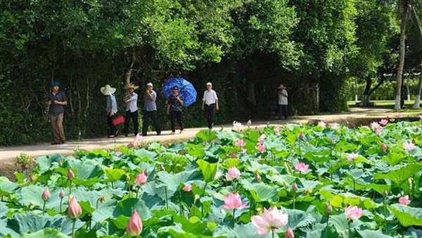Gấp rút hoàn thiện cầu cạn cao nhất Việt Nam nối Lào Cai - Sapa ảnh 11