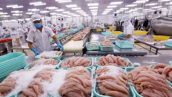Lách khe hẹp xuất khẩu thủy sản tiếp tục mở cửa thị trường ảnh 6