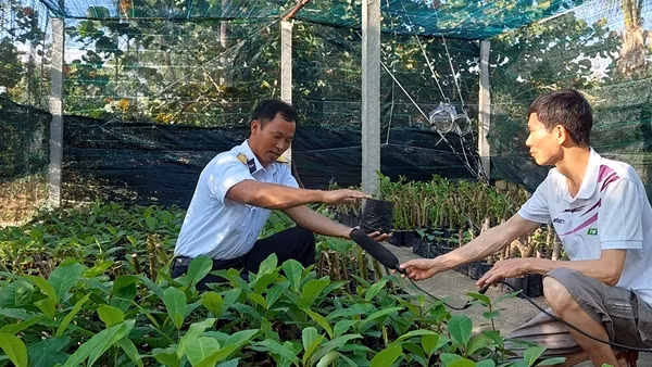 Thêm “màu” cho Trường Sa