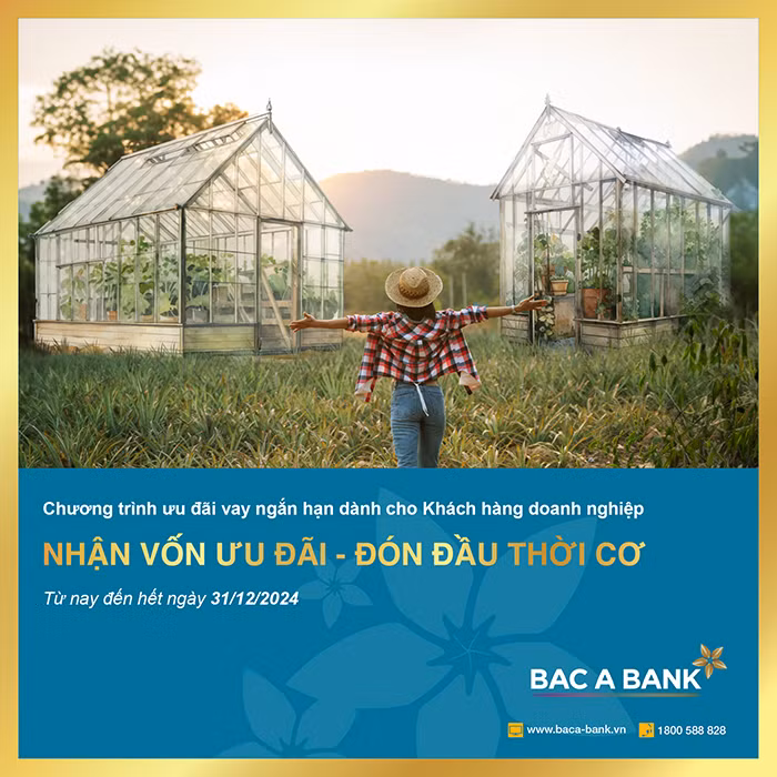 Bac A Bank ưu đãi lãi suất cho doanh nghiệp vay ngắn hạn -0