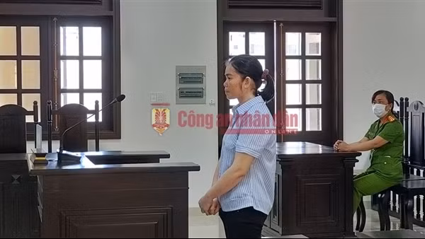 Chủ hụi lĩnh 15 năm tù do chiếm đoạt trên 5,6 tỉ đồng của hụi viên