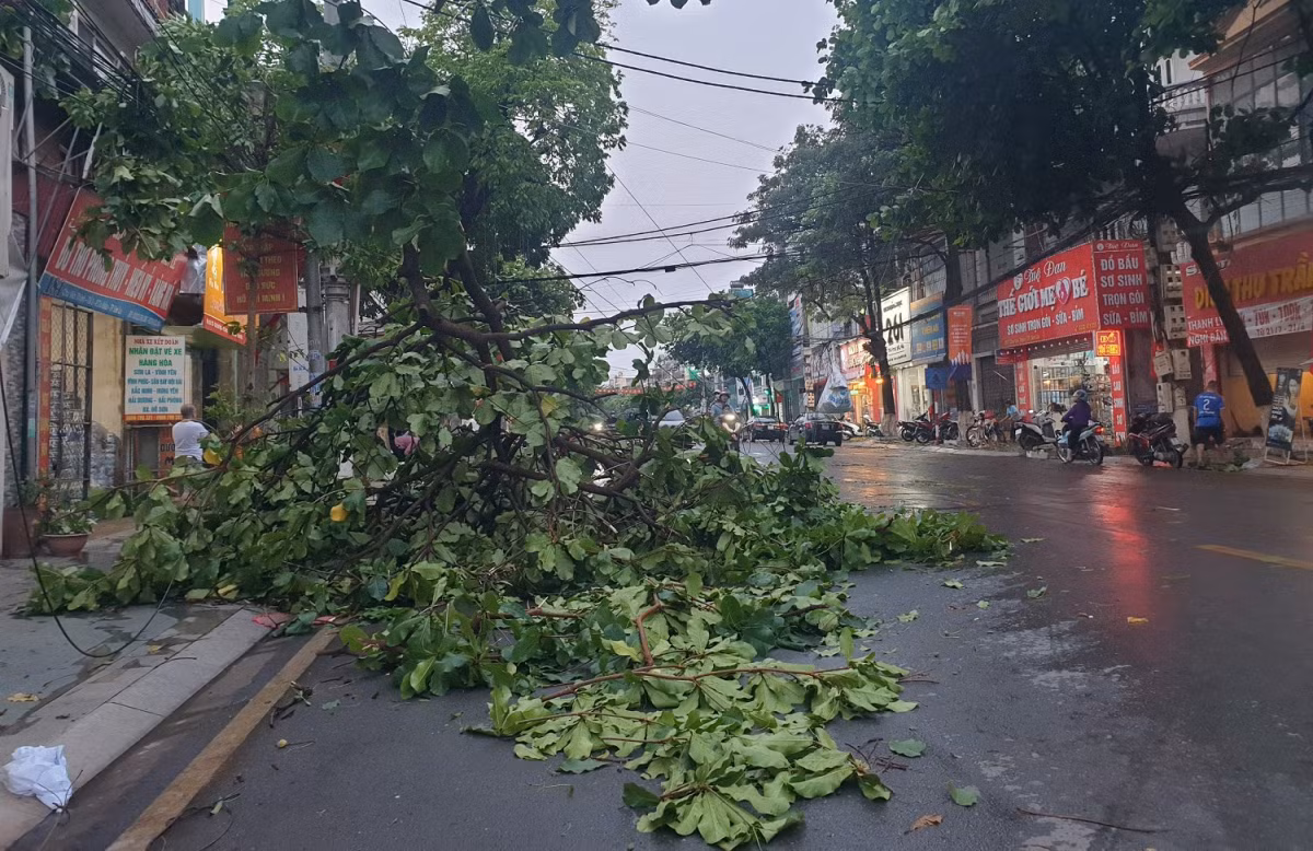 Sơn La: Mưa lớn kèm theo dông lốc gây thiệt hại hàng trăm triệu đồng -2