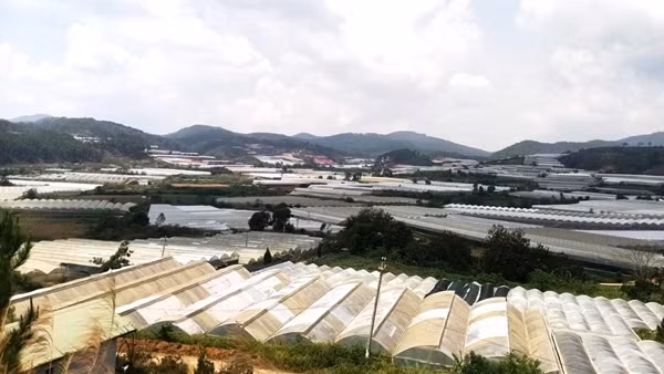 Chây ỳ nộp tiền thuê đất ở Khu nông nghiệp công nghệ cao Ấp Lát
