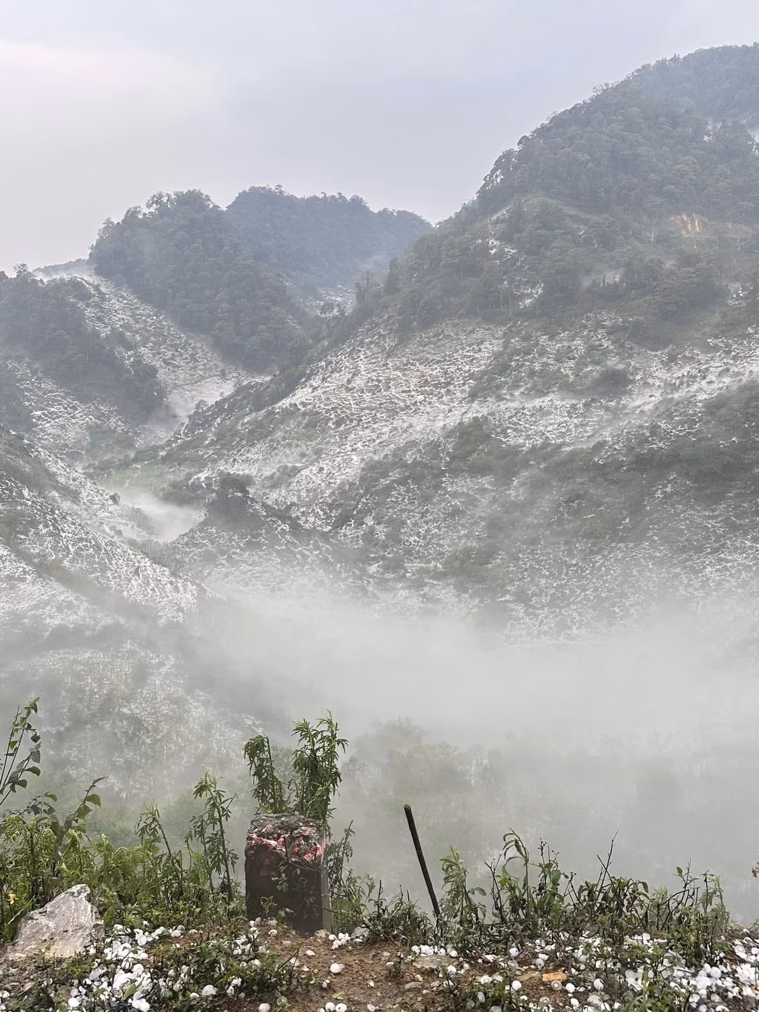 Mưa đá trắng trời gây hại hàng nghìn ha hoa màu của nhân dân -1