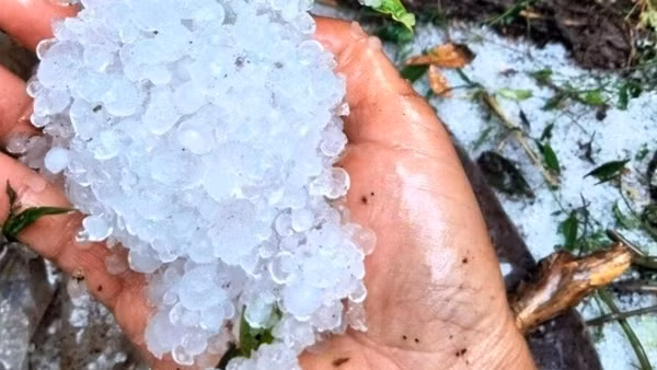 Chủ động phòng tránh, giảm thiểu thiệt hại do mưa giông, lốc và mưa đá
