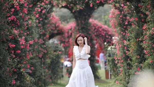 Hạ Long, Sa Pa lọt Top điểm đến chữa lành cho du lịch mùa nóng