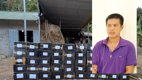 Ngặn chặn kịp thời vụ vận chuyển trái phép hàng hóa lớn qua biên giới