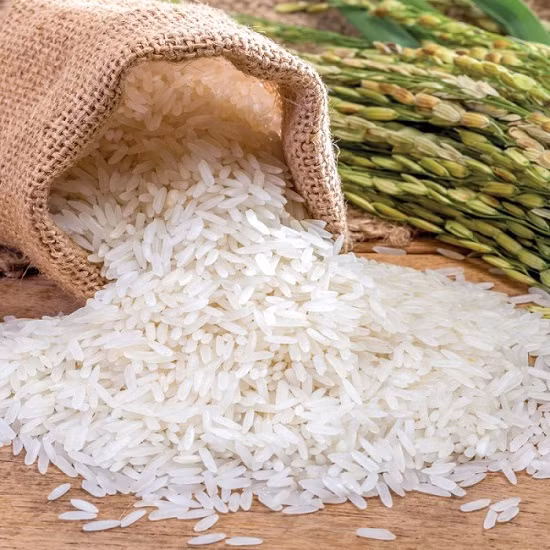 Gạo là mặt hàng xuất khẩu lớn nhất của Việt Nam sang châu Phi -0