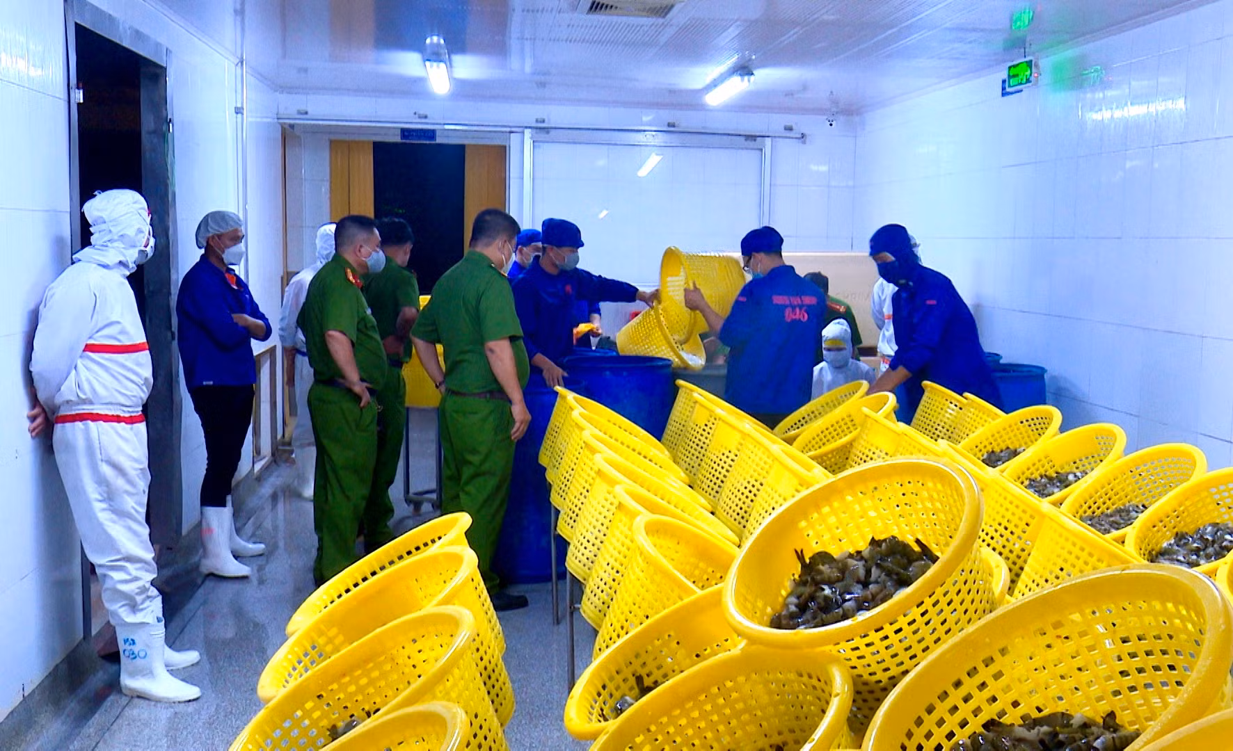 Phát hiện tôm thành phẩm chứa tạp chất tại một công ty ở Bạc Liêu -1