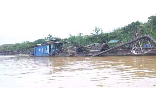 Khai thác cát trái phép bị phạt và phải nộp lại hơn 1 tỷ đồng ảnh 4