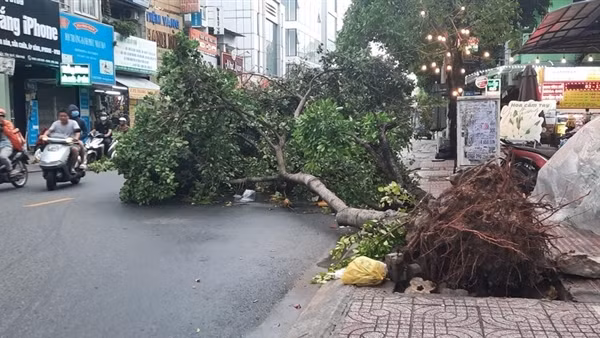 TP Hồ Chí Minh: Một số khu vực xuất hiện mưa đá lúc giữa trưa